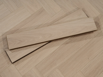 513 Дуб Малтон