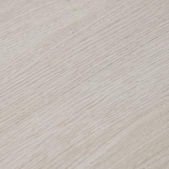 16141 Дуб Робусто