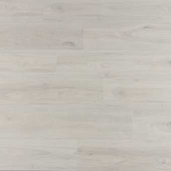 IMU 8465 Дуб зимний