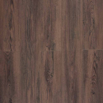  LM-3 Дуб Бруно 