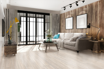 50857 Дуб Шеппард