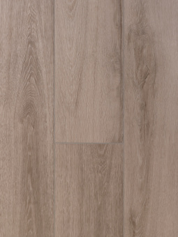 3052 Дуб Фиджи