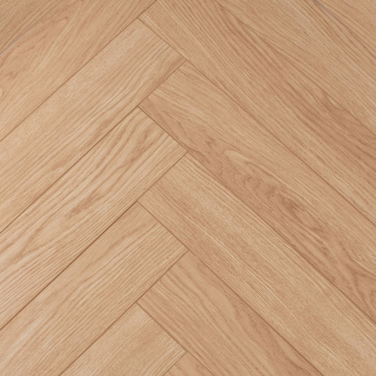 113 Дуб Брилль