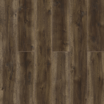 59777 Дуб Гомати