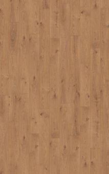 4152 Дуб Эверест Натуральный